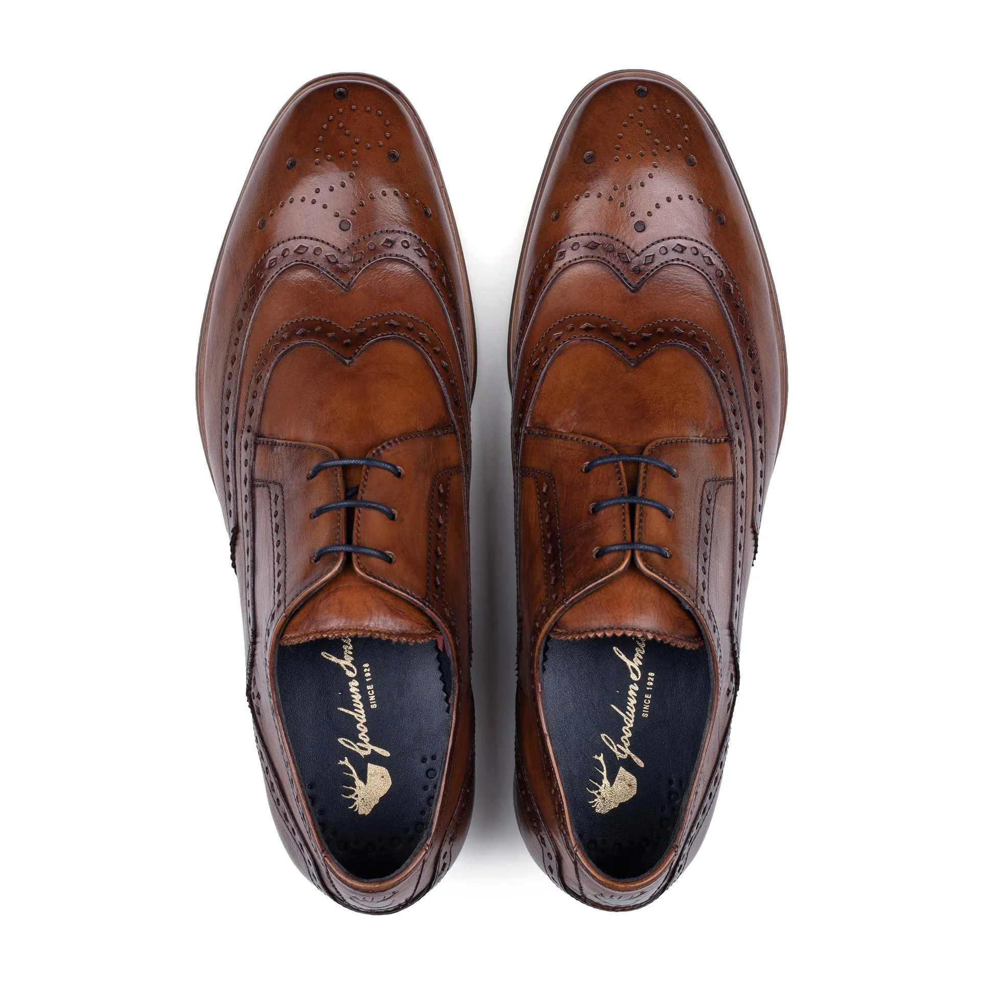 DANIEL TAN DERBY BROGUE